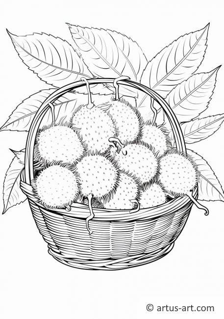 Rambutan Basket Coloring Page